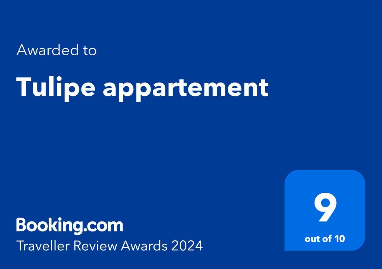 Tulipe Appartement Oran Luaran gambar